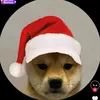 dog.244.jg