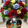 user5161999482149