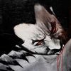 vampiirskaa