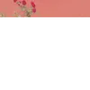 riosgonzales15