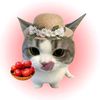 eh.htoo34