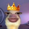 rarev23