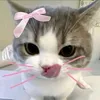 minhthu.gailn