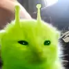 pinpomabarbl0xfruit
