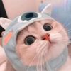 chue.chue1546