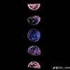christinebelarmino8