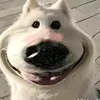 beechip5