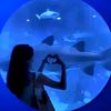 lera_55