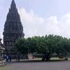 cahyaaprlyaa_