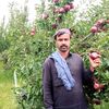 faiz.muhammad979