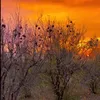 ahmad.tawhede33