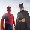 spiders.and.bats