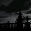 alaaahmed6087