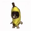 not_esther9876