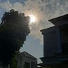 arthie266_na