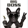 big_boss_31793