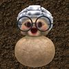fiza_ajaa11