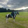 emilyfullerton12