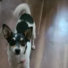 www.tiktok.comj307