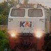 pesilatxrailfans