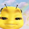 camconmeacdisoa