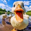 pato708926