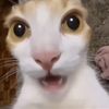 its_zzzzk