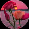 user1612184305885