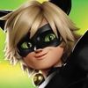 le_chat_noir5