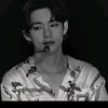 user19454286383952