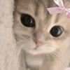 iam_eva.1