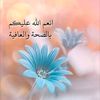 user8381773325997