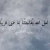 hawraa9993