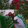 bismilaah30