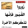 user2430622941902