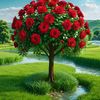 rose.sage3