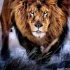 god.is.always.wit06