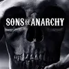 sons1soa