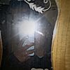 danymtl818