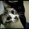 leticiamarielly7
