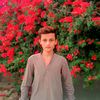 shazeibkhaskheli1