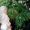 melinicaptr_