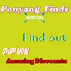 ponyang_finds