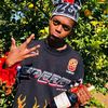 sedi_l7