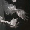 wings_of_happiness