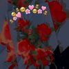 user9847092935836