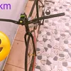 nguyn.anh.quoc15