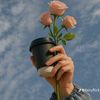 ivy.rotich5