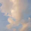 tranni_135