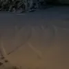 sarcia_v2